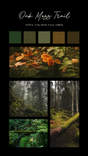 Load image into Gallery viewer, Oak Moss Trail