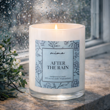 Load image into Gallery viewer, After the Rain