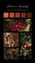 Load image into Gallery viewer, Autumn Harvest
