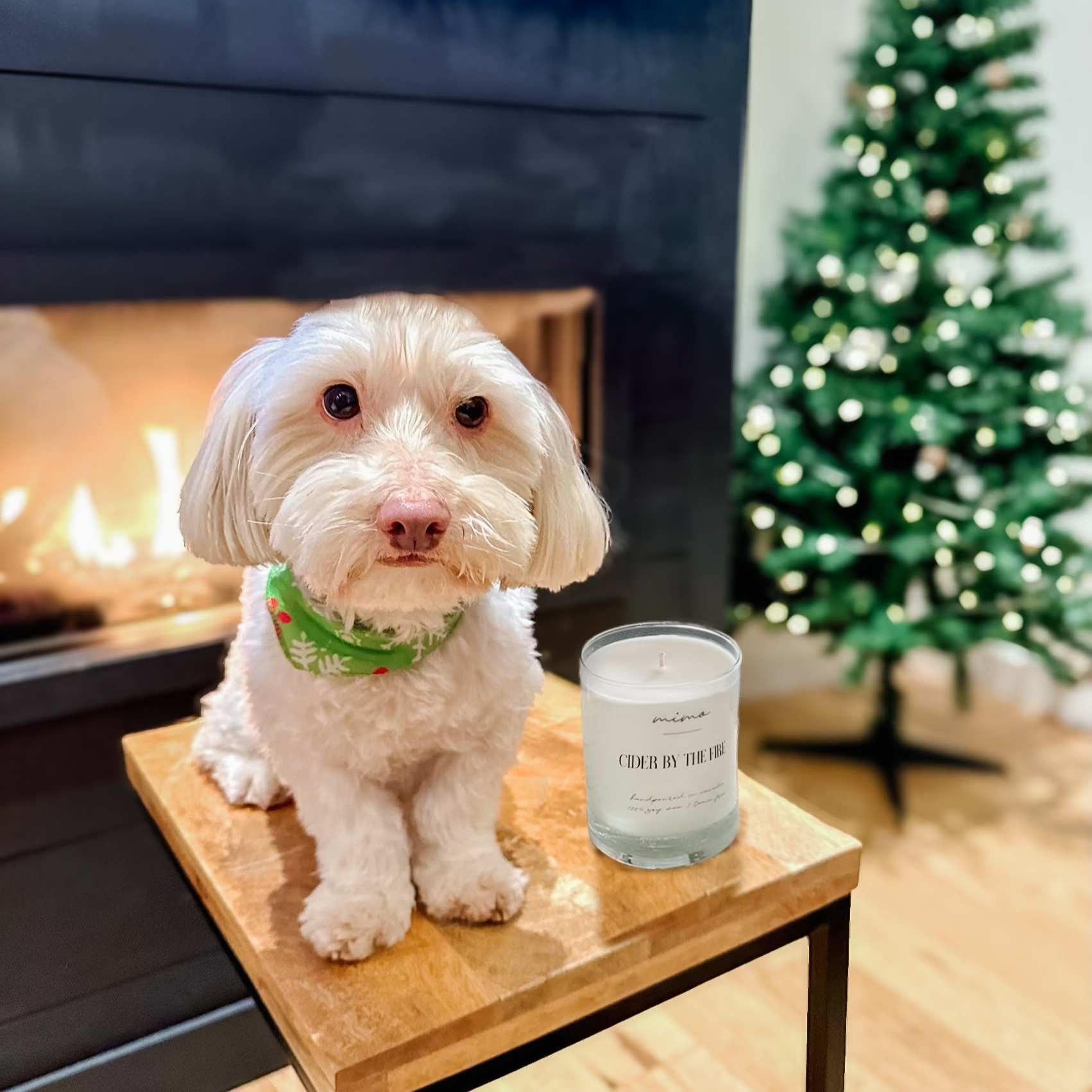 Candles For A Cause - Niagara Dog Rescue – Mimo Toronto