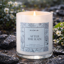 Load image into Gallery viewer, After the Rain
